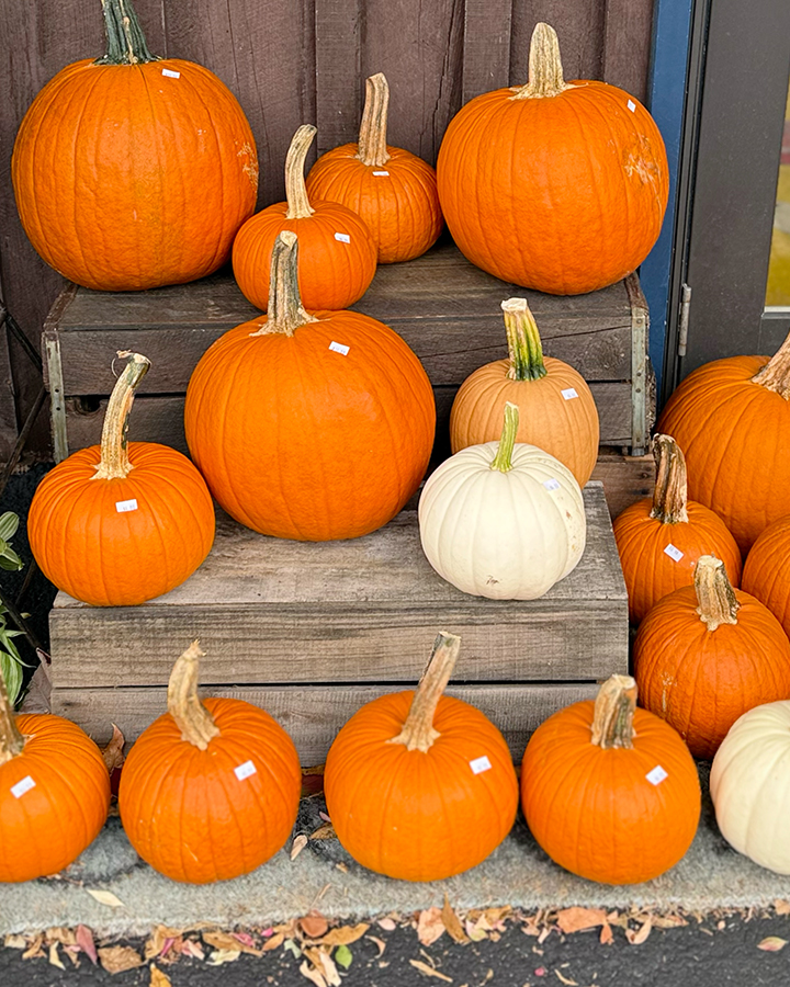 Pumpkins