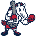 Binghamton Rumble Ponies