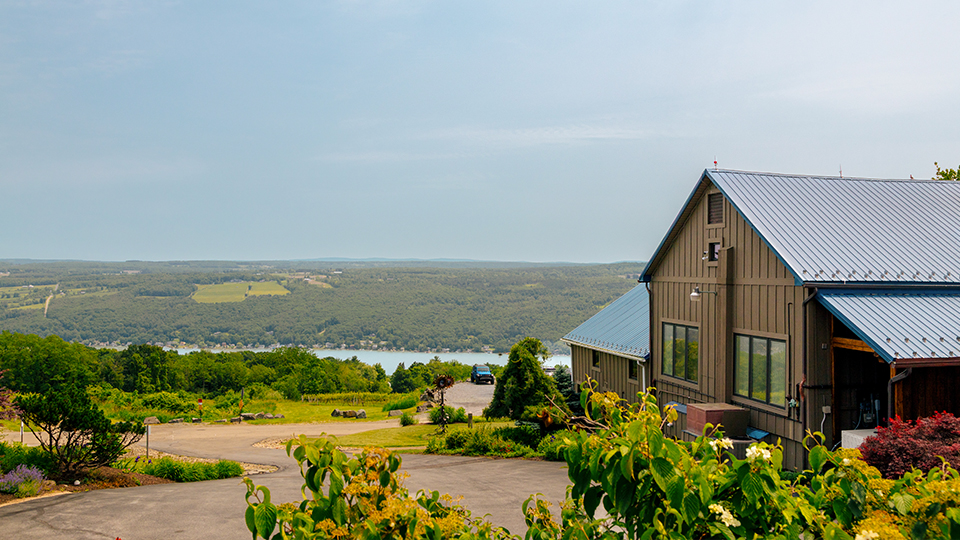 VIEW FROM THE WINERY