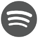 Meg Williams Spotify
