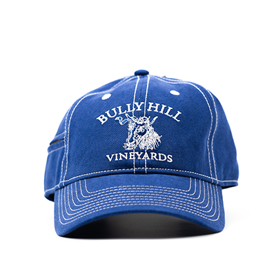 Product Image for Zipper Hat - Blue